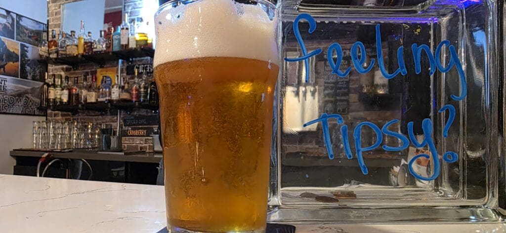 Northwest Brewing Stormy Days IPA