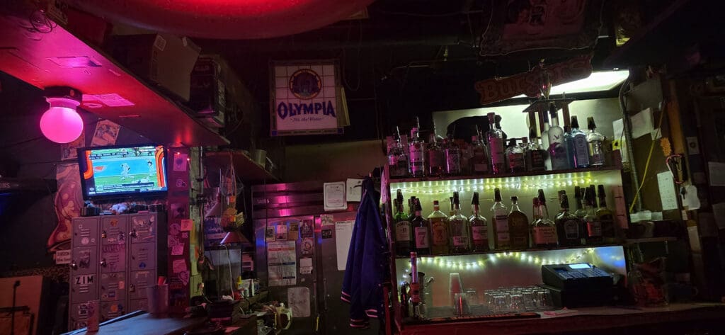 The Monkey Pub behind the bar