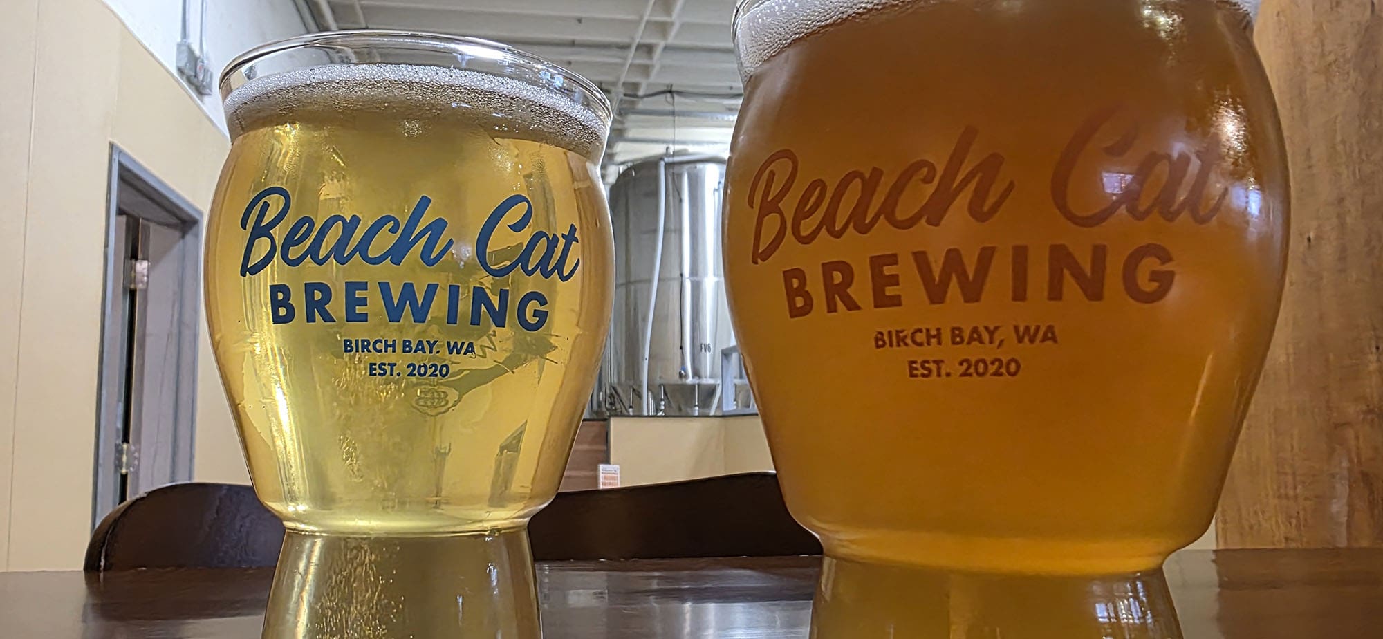 Beach Cat Brewing Shabby Tabby and Beach Blonde
