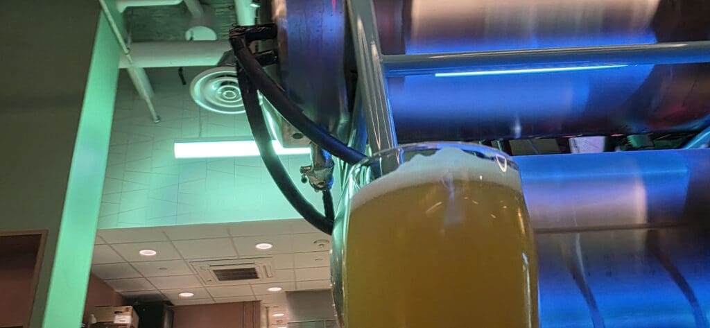 Here Today Glitter Paw Hazy IPA