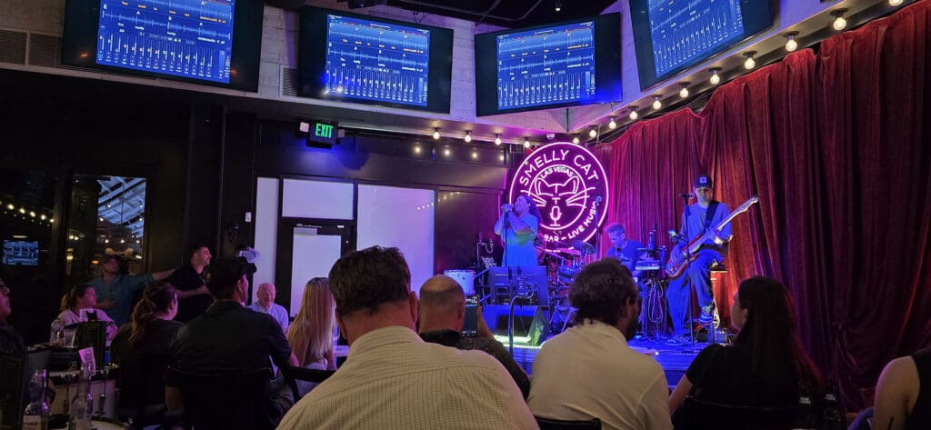 A Singer in a Smokey Room at Smelly Cat Las Vegas