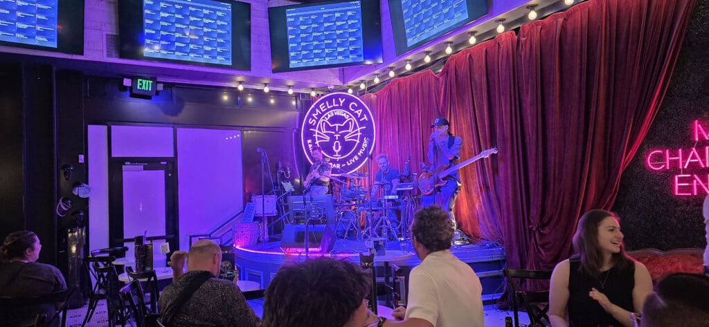 The Smelly Cat Live Karaoke Band