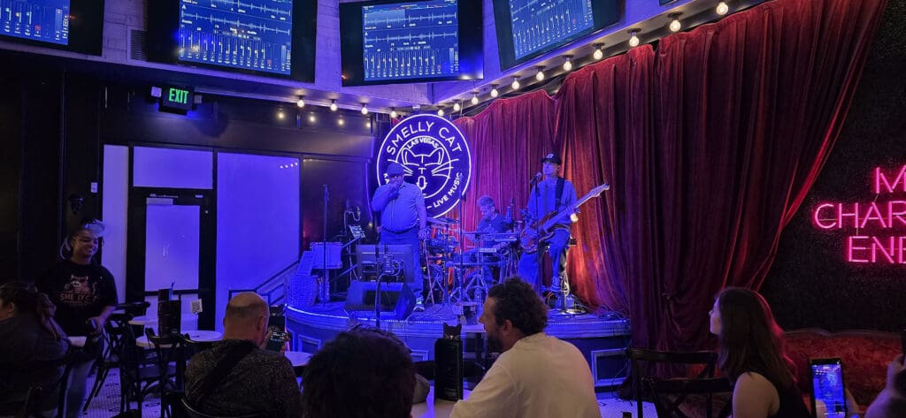 The Shine of Neon at Smelly Cat Las Vegas