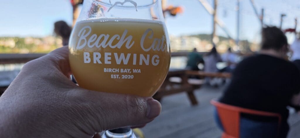 Catsquatch Fever at Beach Cat in Bellingham