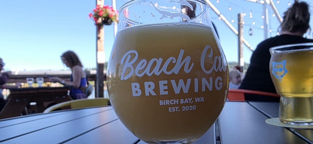 Catsquatch Fever at Beach Cat in Bellingham